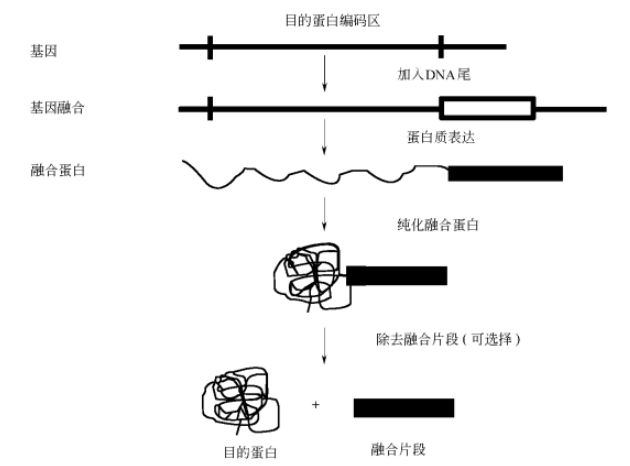 微信截圖_20220823154048.png